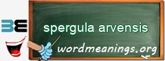 WordMeaning blackboard for spergula arvensis